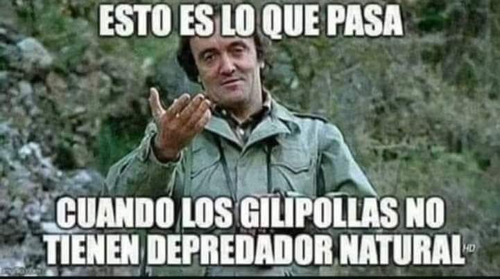 pleitis's tweet photo. @AntnMartnLpez1 https://t.co/xnk6L9HiWK