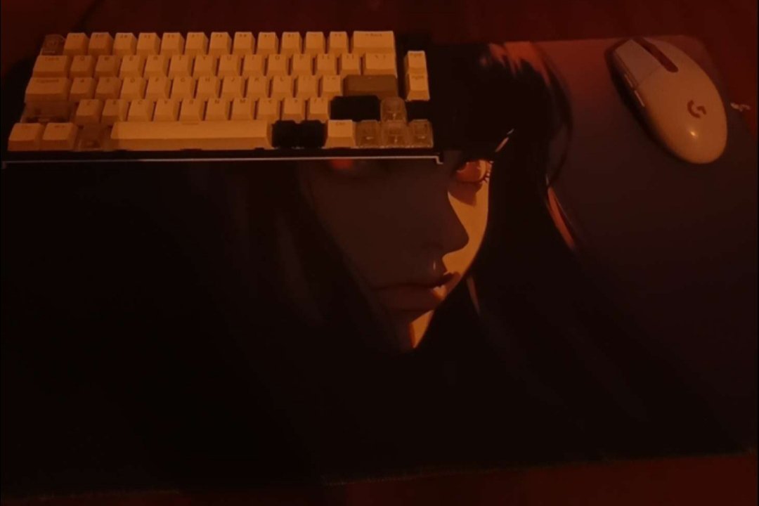 OtterFv's tweet photo. @KyomiHQ This is my current mousepad https://t.co/us7JRsMHBk