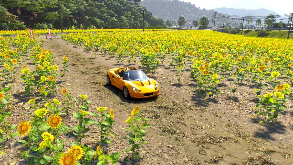 horry1220's tweet photo. ゲーム投稿、集まれForza Horizon6の沼😆 https://t.co/T3LDPAzczp