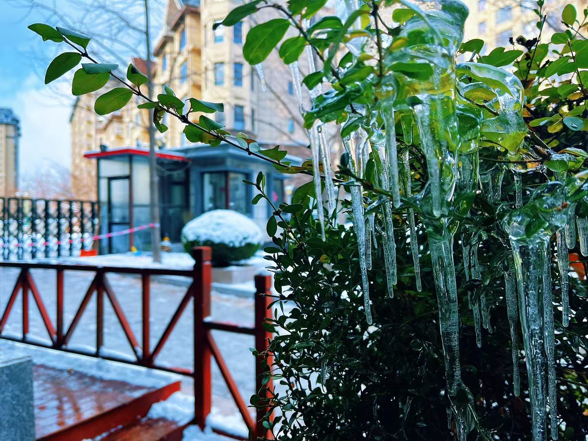 Anthony89395649's tweet photo. The first snow of winter just landed!  Today’s the perfect day to cozy up with hot cocoa and make small, warm rituals. What’s your favorite winter tradition #WinterVibes #FirstSnowDay， https://t.co/qA9TPCaISr