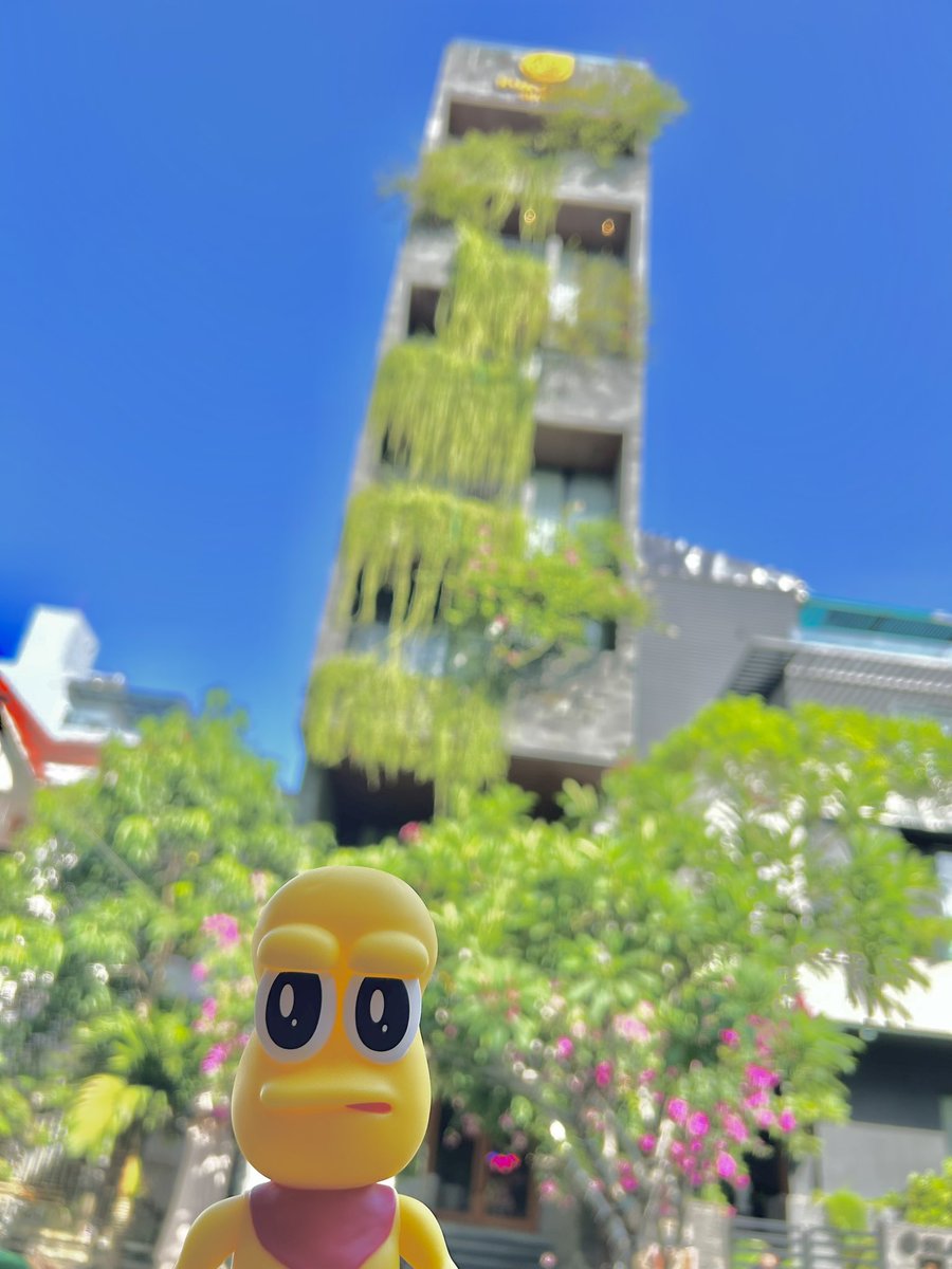 ソフビぽこピーと旅行さんの投稿メディア