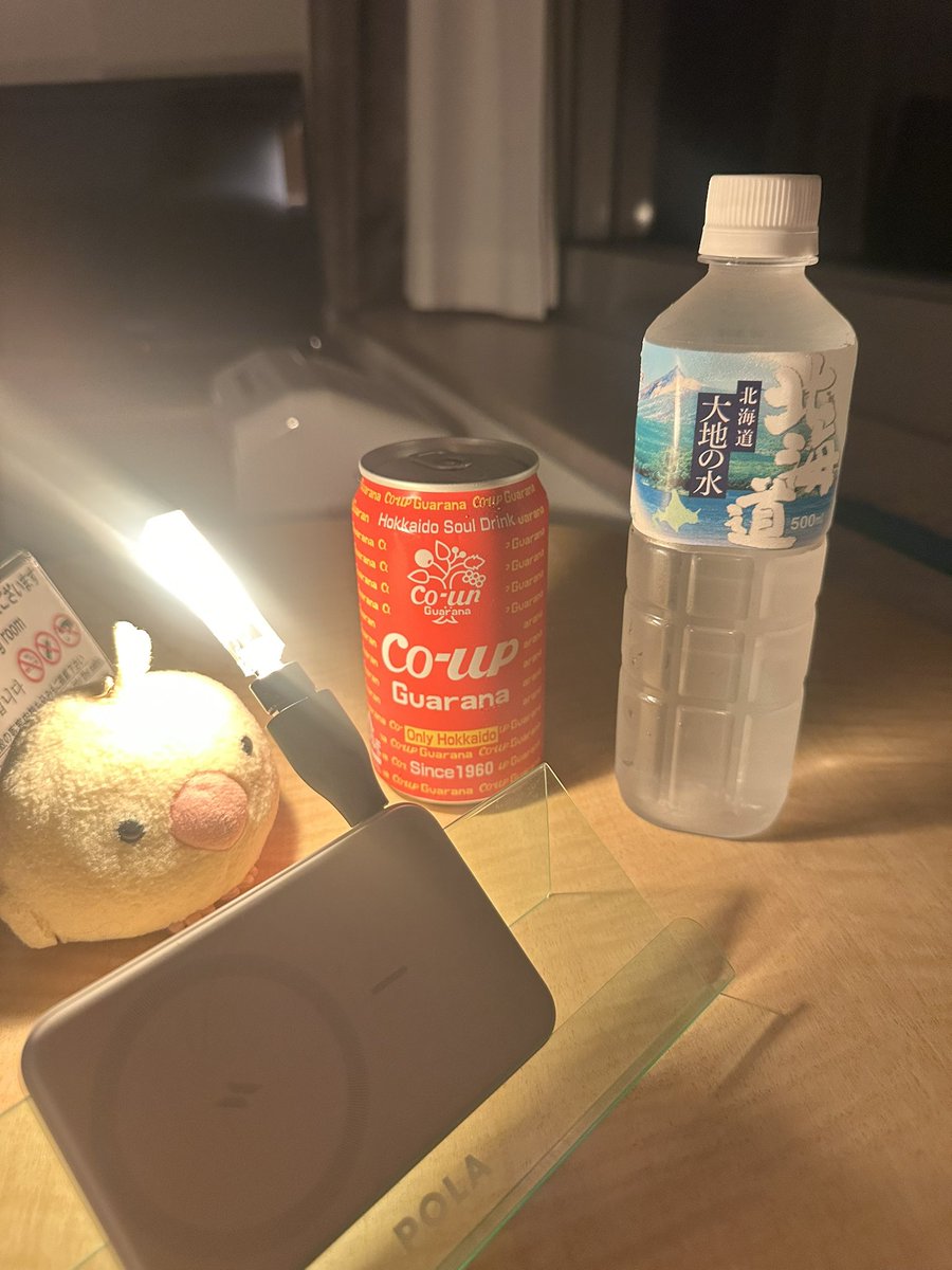 アイスの代わりに自販機でコアップガラナという北海道限定らしい飲料を