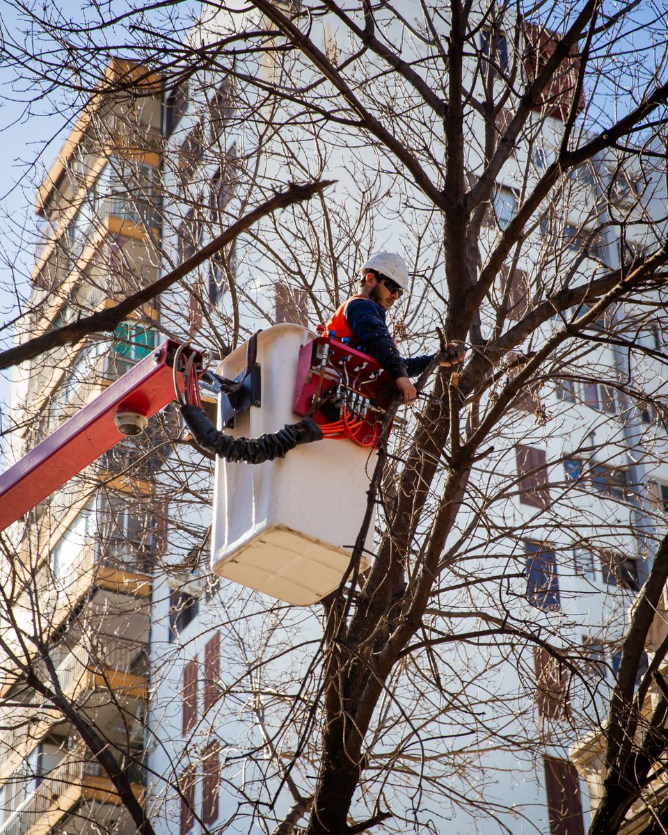 aybar_rodrigo's tweet photo. 🌳✂️ Estuvimos en la esquina de Isabel Fernández y Ntra. Sra. del Carmen en #VillaRaffo acompañando a nuestros equipos con los trabajos de cuidado y manejo del arbolado. Estos operativos ayudan a la salud de los árboles, que no tapen las luces LED y que mejoren la seguridad. https://t.co/xQfgcPMCgl