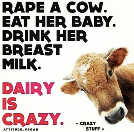 WhyNotVeganism's tweet photo. Dairy is evil https://t.co/2pB7T9Vusb