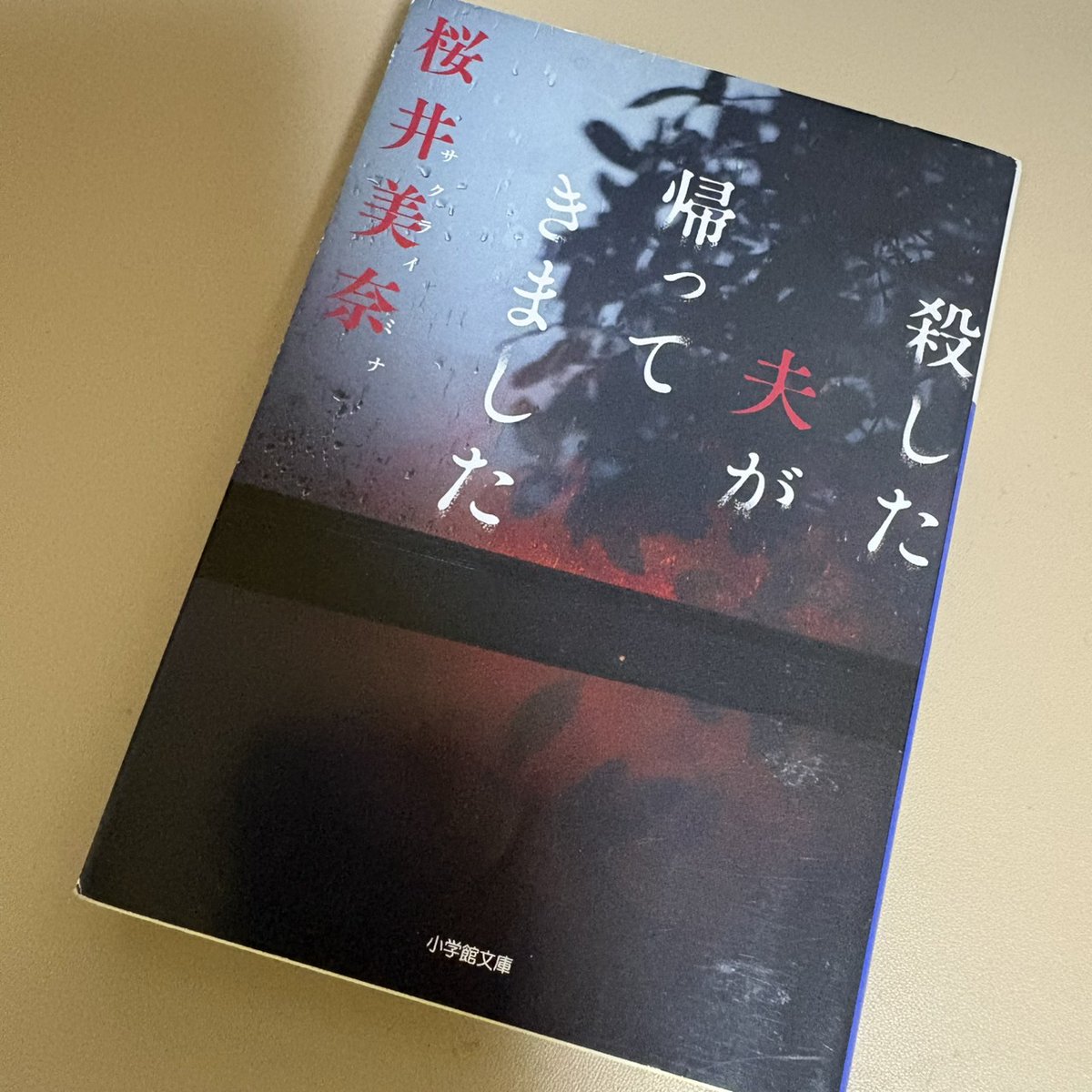 setuyakubooks's tweet photo. 崖から突き落とし、殺したはずの暴力夫が記憶喪失になって帰ってきた。
怯えながらも同居を再開した茉菜だが、夫は以前と違い優しく、平穏な日々が流れる。
しかし「過去を知っている」という不気味な手紙が届き……。
#殺した夫が帰ってきました #桜井美奈 ＃読了
https://t.co/XiYWgZtC6U https://t.co/hFfvYMZ7Fz