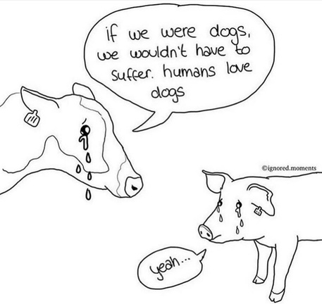 WhyNotVeganism's tweet photo. https://t.co/dJ3lttQl3j