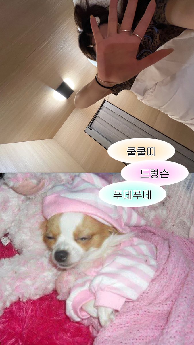 weituzct's tweet photo. 여자들 걸스나잇 해야돼 https://t.co/Kdj6yuJ54C
