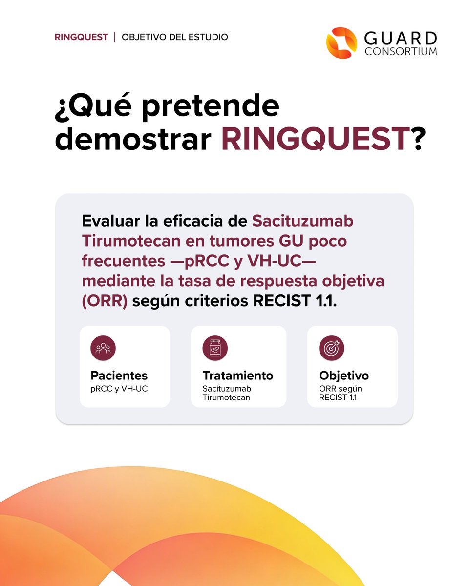 GuardConsortium's tweet photo. 🇪🇸 Objetivo primario de #RINGQUEST
Evaluar la eficacia de Sacituzumab Tirumotecan en tumores GU poco frecuentes —pRCC y VH-UC— mediante la tasa de respuesta objetiva (ORR) según criterios RECIST 1.1.
----
🇬🇧 Primary objective of #RINGQUEST
To evaluate the efficacy of Sacituzumab Tirumotecan in rare GU tumors —pRCC and VH-UC— by means of objective response rate (ORR) according to RECIST 1.1 criteria.
#GUTumors #ClinicalTrial #Oncology @DrFelixGuerrero @cdanicas @dralvaropinto @drenriquegrande @fcounago @docjavip @BerUrologia @DrJaVallejo @Maroto5Pablo @nachoduranm @RodriguezAntona @AnaPlatabello1