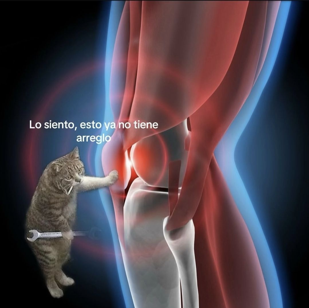 wikipistacho's tweet photo. https://t.co/jSQBq0comx