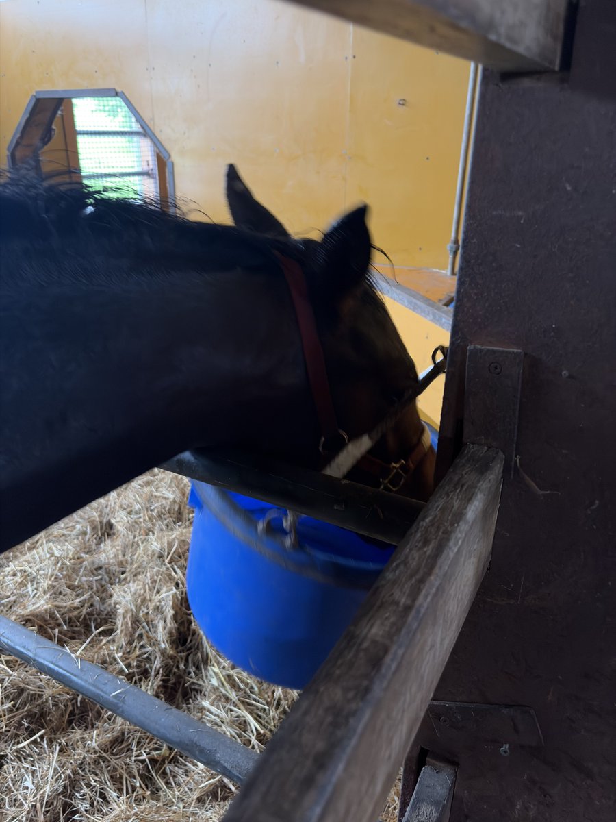 eclipse__first's tweet photo. マイティーの26のご飯を狙うマリリンの26 (1、2枚目)

マイティーの26がお母さんの方に行った隙に空き巣をするマリリンの26 (3枚目) https://t.co/uAdyIQWbzR