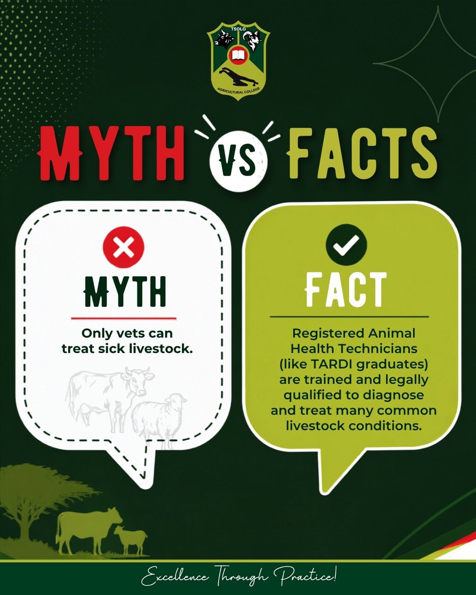 TARDI540202's tweet photo. 🚫 MYTH BUSTED 🚫 

Apply Now! 
https://t.co/V5ILYOddDU 

#StudyAtTARDI
#TARDIXpereince 
#TARDI
#ExcellenceThroughPractic https://t.co/dznGXrdUy3