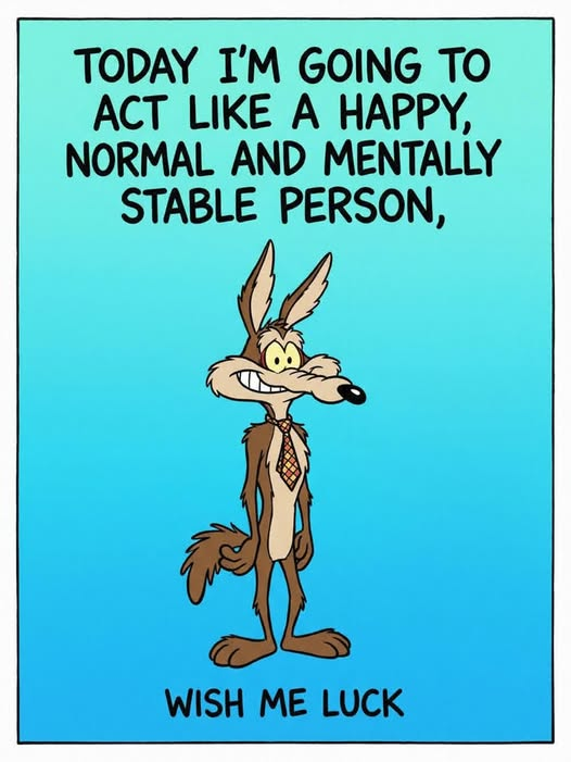 Sandee9876543's tweet photo. Happy Thursday!  https://t.co/9ShLqmu9fQ https://t.co/9Cr7umwyWr
