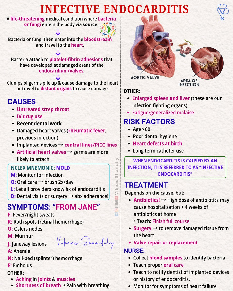 VikaasShandily's tweet photo. Infective Endocarditis | Causes, Symptoms, Diagnosis & Treatment
#InfectiveEndocarditis #Cardiology #Medical #VikaasShandily https://t.co/99WqXTAxgo