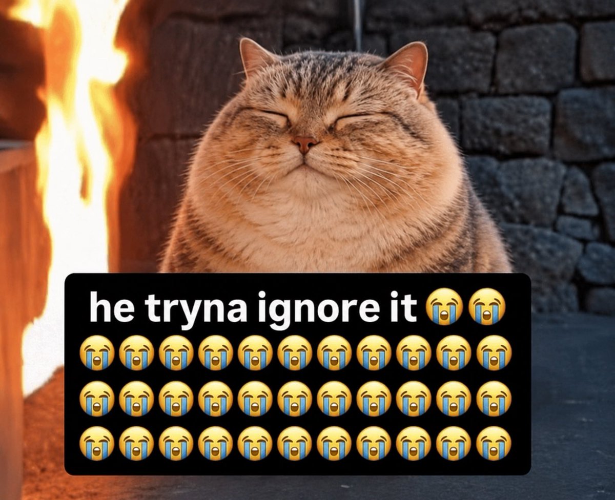 BababoiRH's tweet photo. @navi9000x every robinhood /telegram user knows this cat https://t.co/CVVjwhO3uq