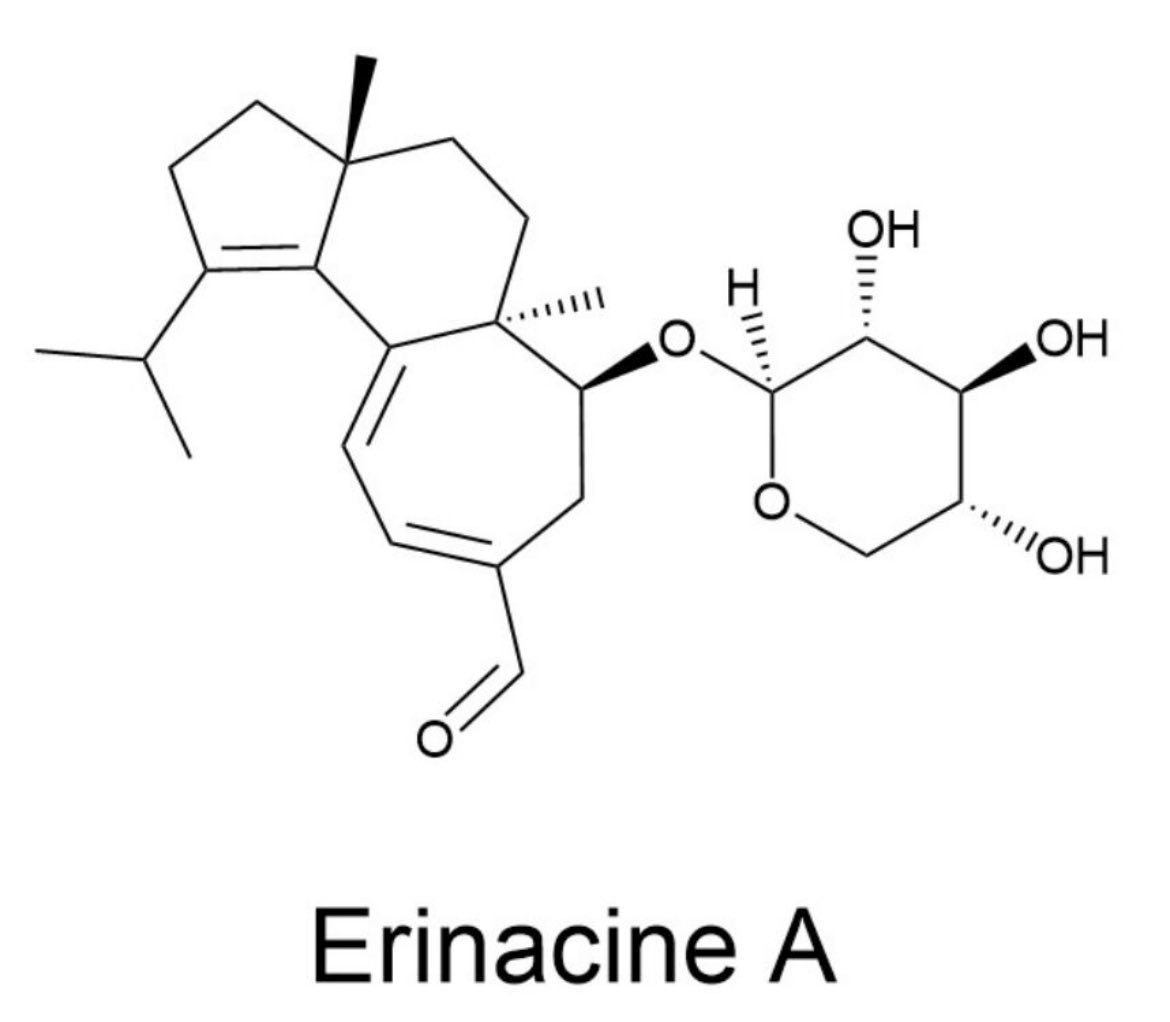 T_Nutra's tweet photo. Take a look at this molecule.
This is why we chose ErinaPrime™ over standard Lion’s Mane fruiting body powder.
Erinacine A.
The fused cyathane skeleton.
The arabinose sugar.
The exact stereochemistry that lets it cross the blood-brain barrier and stimulate the brain’s own production of nerve growth factor.
Erinacines are produced by the mycelium — not the fruiting body.
That’s why NeuraLegend™ is built on mycelium standardized for Erinacine A.
We formulated it the same way we take it ourselves.
Science first. No marketing theater.
Join the waitlist → https://t.co/PhX5gViJHW
#LionsMane #ErinacineA #Nootropics #BrainHealth