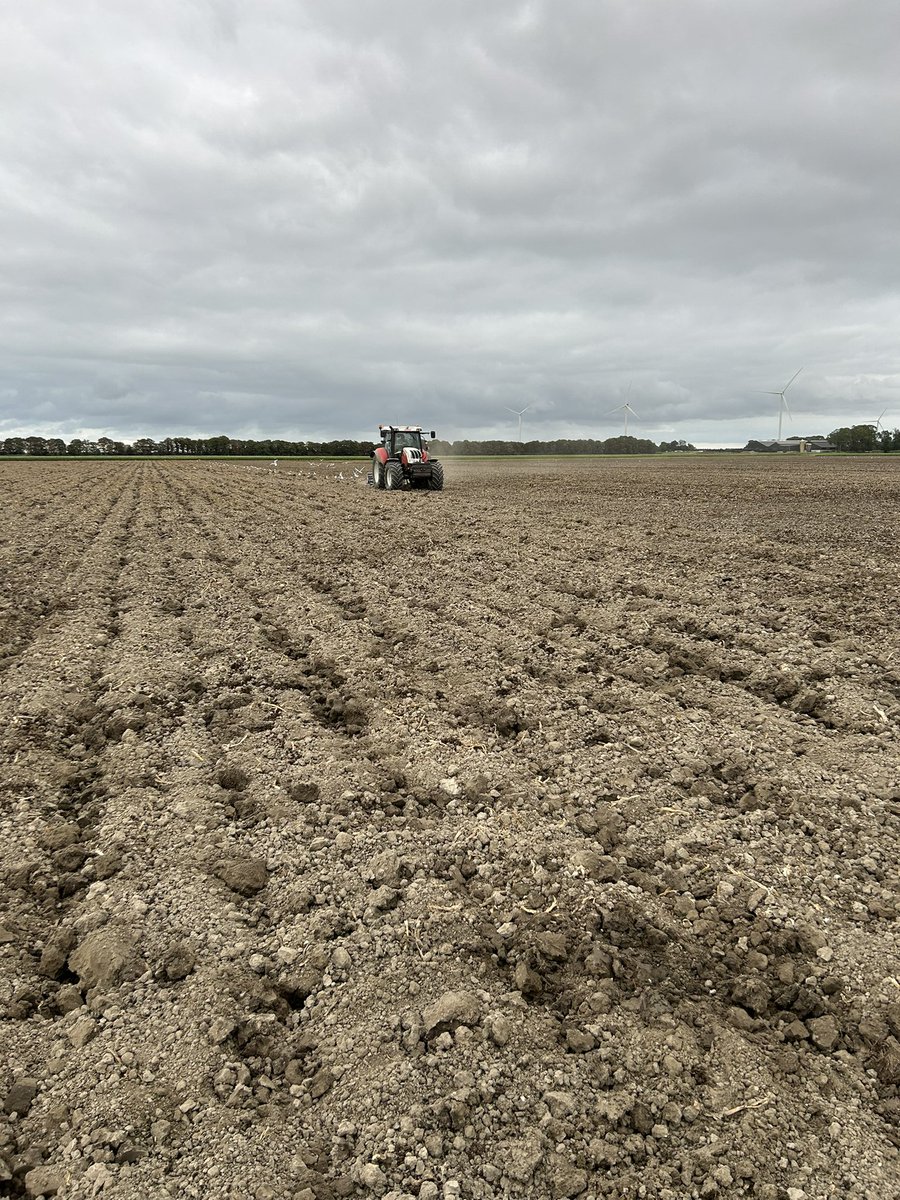 Boersturm's tweet photo. De prairie bewerken om groenbemesting te kunnen zaaien op de #akker #droogte https://t.co/4s6VhDyPZz