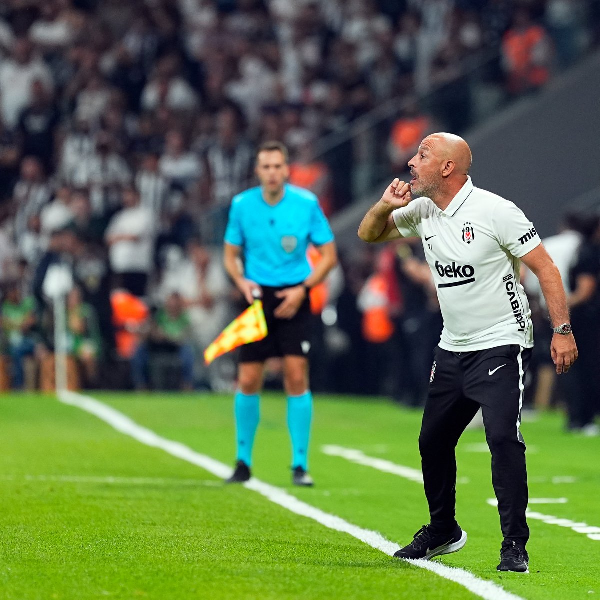 trtspor's tweet photo. Maçı adeta yaşıyor.

🦅👔 Vincenzo Italiano https://t.co/EllnpwmrYy