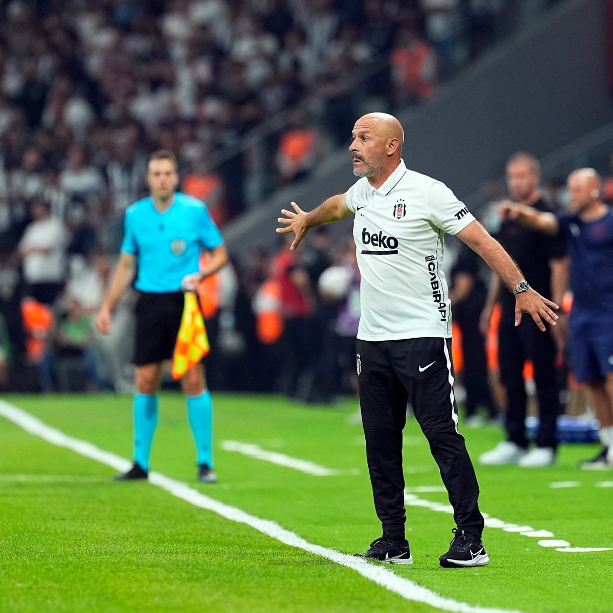 trtspor's tweet photo. Maçı adeta yaşıyor.

🦅👔 Vincenzo Italiano https://t.co/EllnpwmrYy