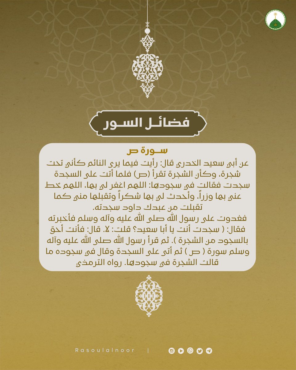 aohebk_rabee tweet picture
