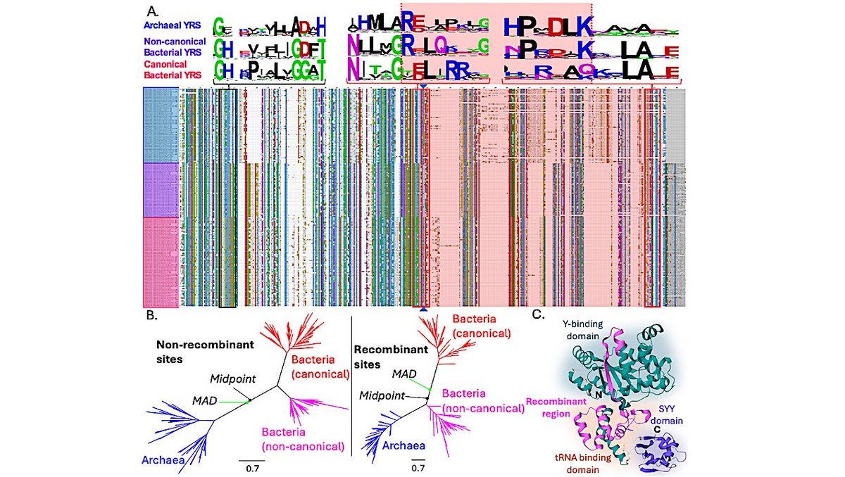 astrobiology's tweet photo. Tryptophan Became Part Of The Universal Genetic Code Post-LUCA
https://t.co/CXg4m4zgcO #astrobiology #evolution #genomics #originoflife https://t.co/PIAB4SiU78
