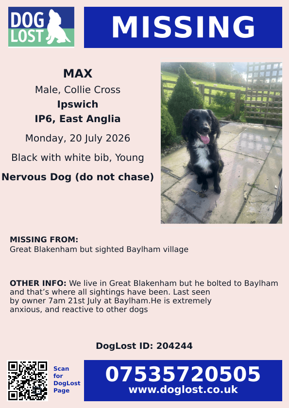 millypod1's tweet photo. π20 JULY 2026 #Lost Max #ScanMe
YOUNG Collie Cross Male #PUPPY
#GreatBlakenham sighted #Baylham village
#IP6 #Ipswich #Suffolk
He is extremely anxious, and reactive to other dogs
https://t.co/hZgisfgP9X https://t.co/chvqoRfTob