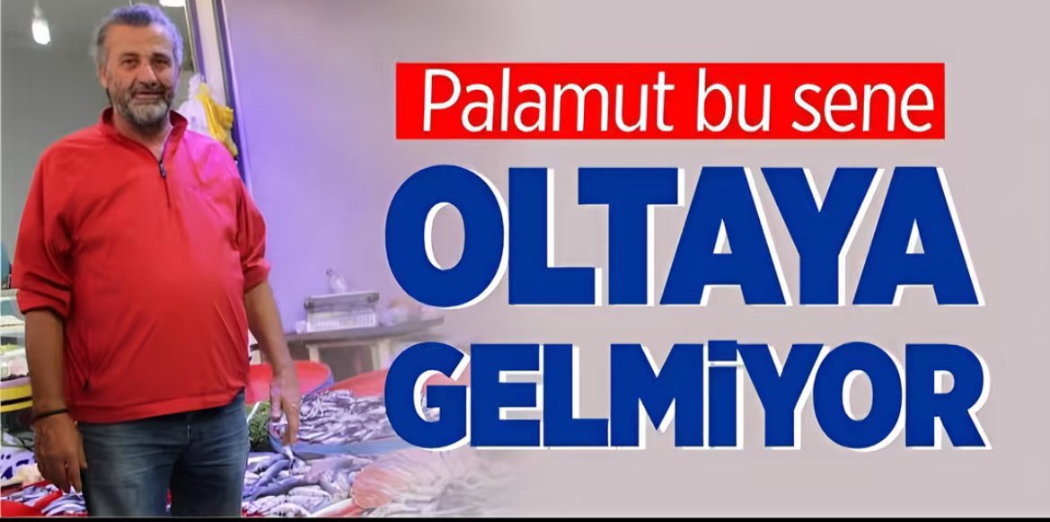 gokay tweet media