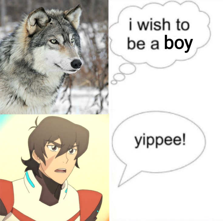 Shungrass_'s tweet photo. Obviously buddy 
#vld #Voltron https://t.co/6N32zyZVlD