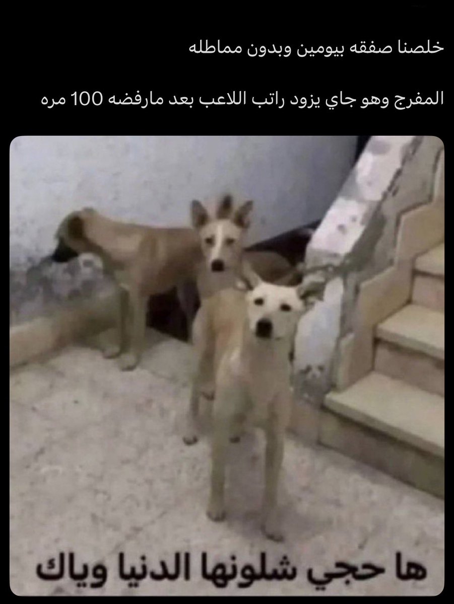 uj8lhbr1vp's tweet photo. @xjwwr مخرج 17 مع الاعبين بعد ما عدل رواتبهم و عرض عليهم مليون عرض وبعدها يعطيك لضيق الوقت https://t.co/kZm96NiwwG