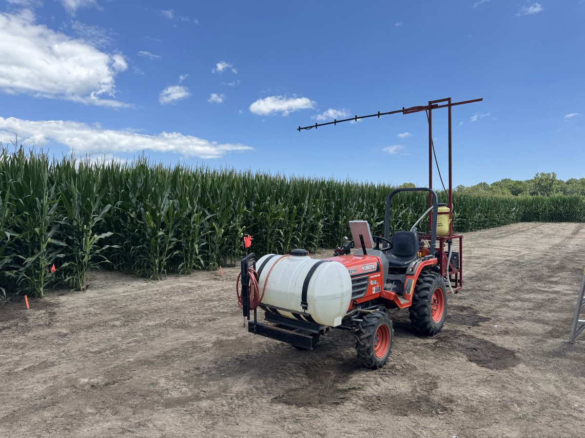 AlbertTenuta's tweet photo. Tar spot fungicide VT/R1 treatment being applied today by @wscottjay in #WestElgin 👍 Tar spot levels low but becoming easier to find this week. R3 apps as well as other treatments later. Thanks Scott, Cheryl and my #OMAFA students ! #OntAg @CropNetwork @GrainFarmers https://t.co/6DON28ZM5f