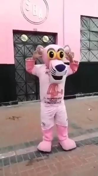 pelaocongatos's tweet photo. La foto que van a publicar si me pierdo // yo en la vida real https://t.co/UjP4PWtGsp