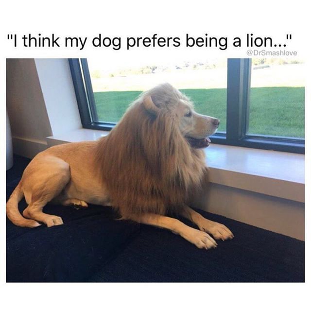 VKx76's tweet photo. What he thinks he is https://t.co/CRlmGpR6QN