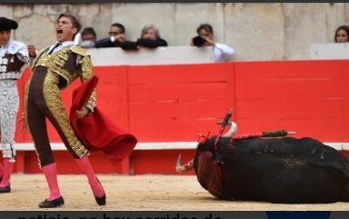 lagabyrosa's tweet photo. @JesusGarcilqn8 @capTercio Q se puede esperar de los españoles matan toros x tradición,hay putas ,vagos con corona !! https://t.co/1A0y2I15Eu