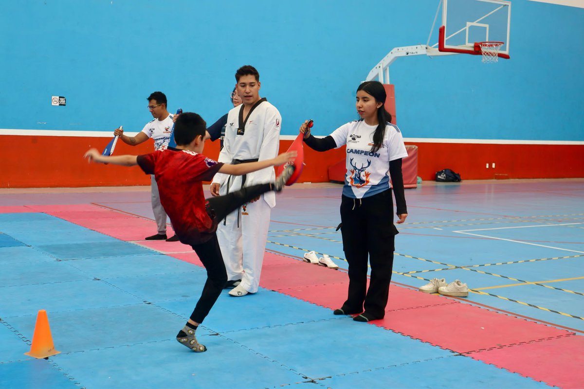 uaemorelos's tweet photo. La #UAEM dio inicio al Curso de Verano Venaditos UAEM 2026, donde niñas, niños y adolescentes participan en actividades deportivas, recreativas y formativas que fortalecen habilidades, promueven la convivencia y el desarrollo integral.

#OrgulloUAEM #VenaditosUAEM https://t.co/cJtKsJSyuu