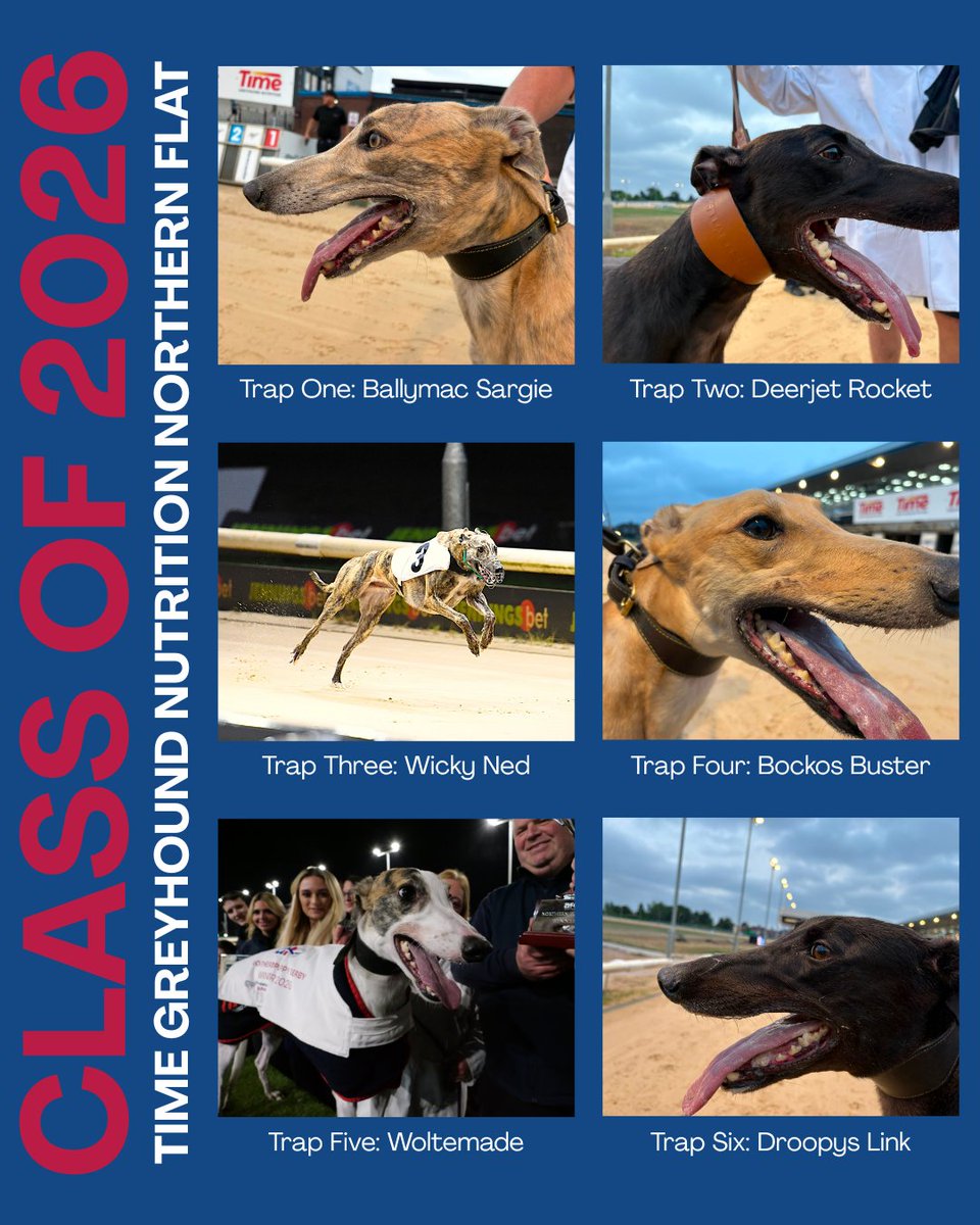Newcastle Greyhound Stadium tweet media