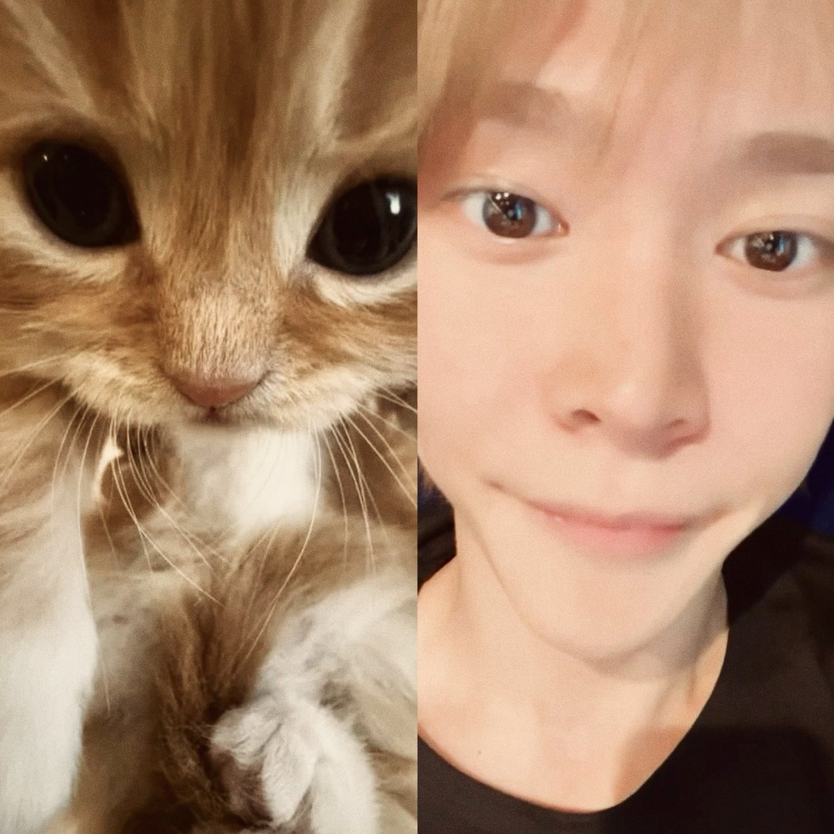 bonitotoni's tweet photo. มะม๋ากับมะเมี้ยว 🐶😼 https://t.co/JqNRmC4kMU