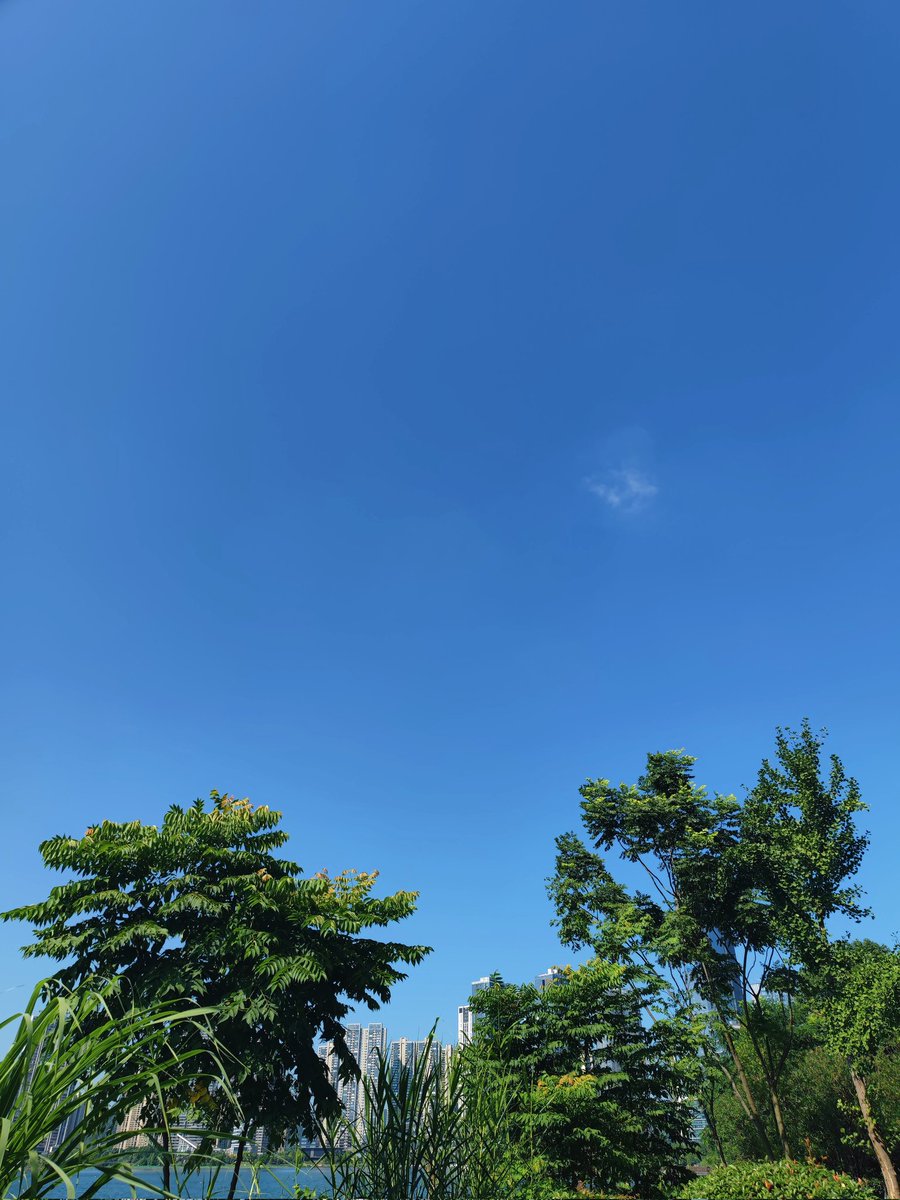 Anna2580i's tweet photo. 币圈人人皆有过高光时刻——
10倍、百倍，几乎人人都吃过几次，概率高达90%。

所以，吃到过≠你很牛，这只是波动赠予的彩票。

真正的硬核能��，是回撤控制。
浮盈翻倍，最后亏本出局的故事，我见过太多。

只有5%的人能守住利润。🧠
其余95%，都活在一场又一场的过山车里。

神奇吗？不，这就是人性 https://t.co/wSkbX1i95p