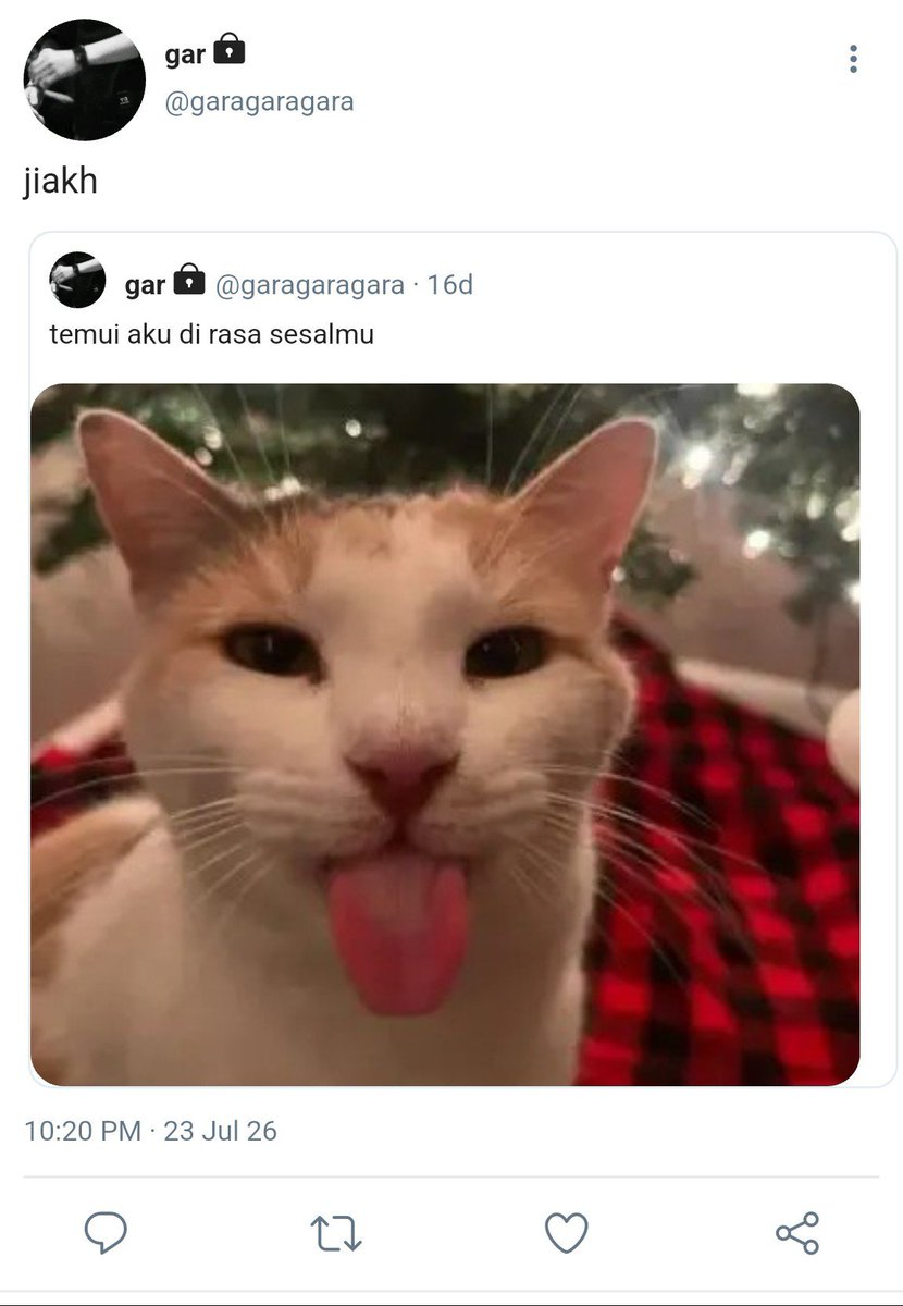 isabelle tweet media