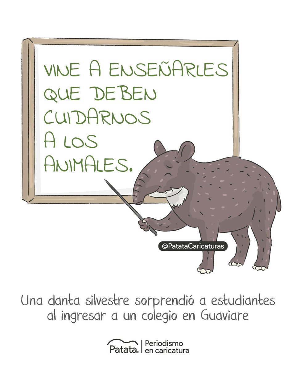PATATAdibujo's tweet photo. 🐾🏫 Una danta sorprendió a estudiantes en colegio del Guaviare. 
🧵 https://t.co/WQNl8DCXwF
