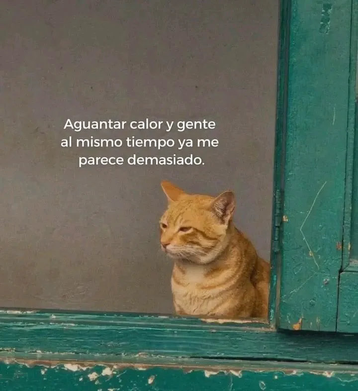 dulcequeentero's tweet photo. https://t.co/awJI2HkIcK