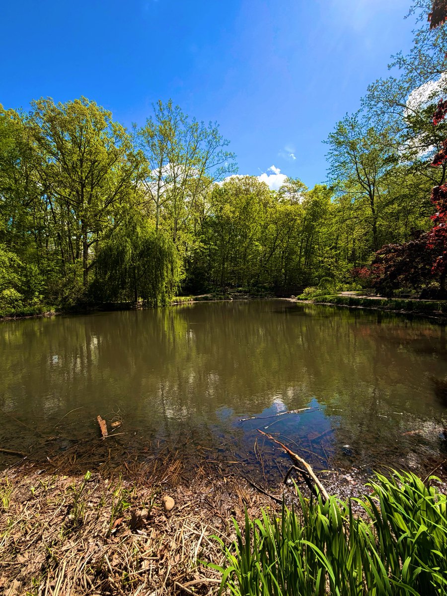 DAnnesEyes's tweet photo. #ThrowbackThursday #EnjoyYourViews #WalkAboutIt #Nature #Breathe https://t.co/a9uH1gdJQj