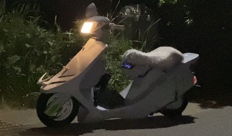 Taka089233's tweet photo. こいつに竹槍つけ乗り捨て覚悟で

自走で輝日東に行くチャレンジしたい。 https://t.co/SYZNaFgoid