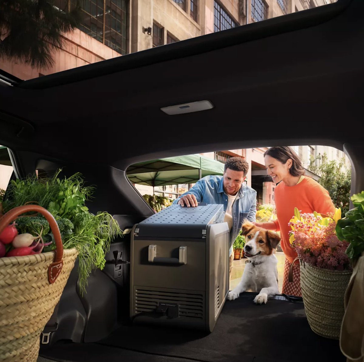 FAToyotaGreer's tweet photo. Room for everything the day brings. ⚡ The Toyota bZ combines all-electric driving with versatile space designed to keep up with your everyday adventures.

#FredAndersonToyota #GreerSC #ToyotaBZ #ElectricVehicle #DriveElectric https://t.co/V4vifvDfjL