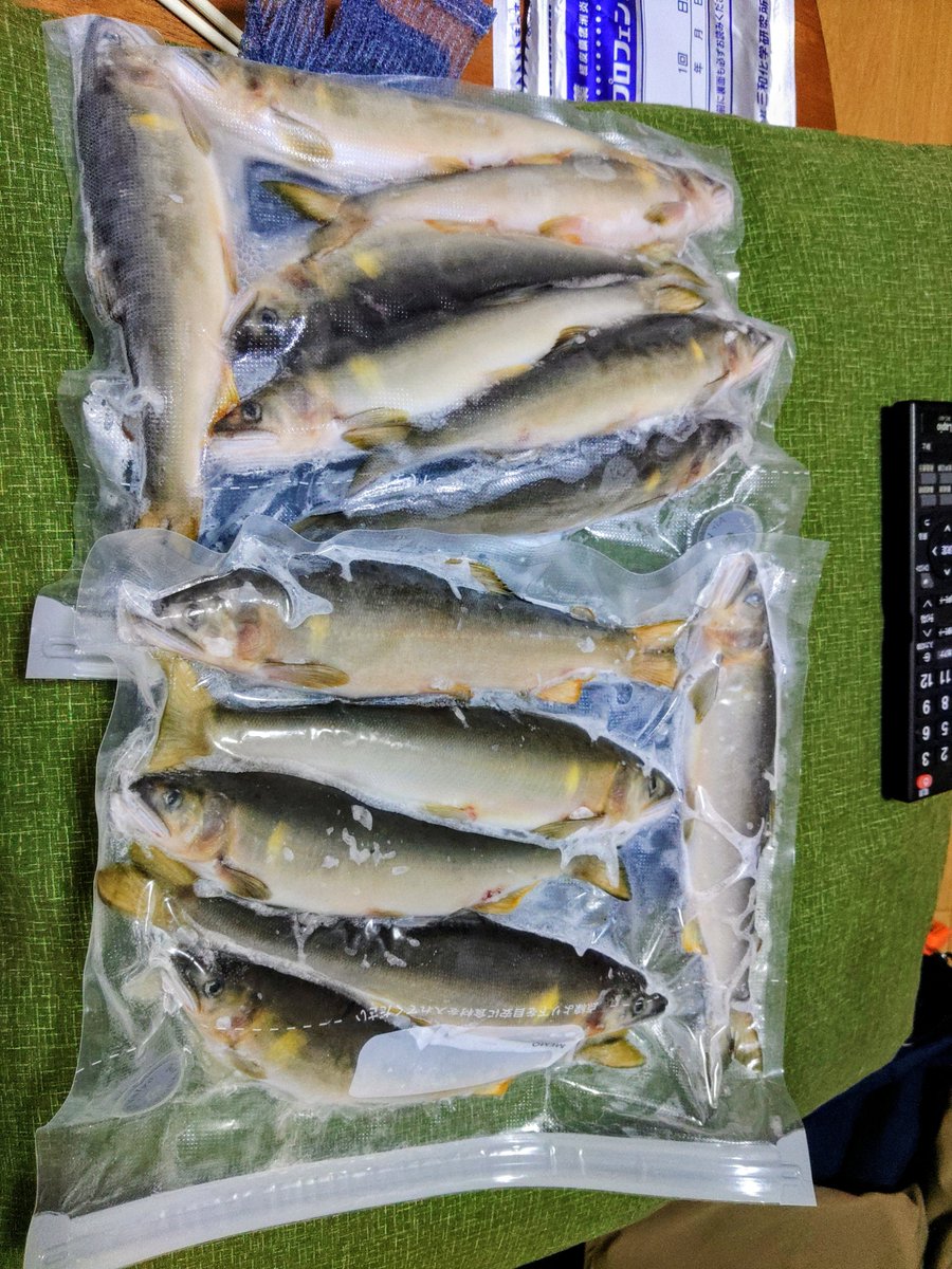 dashigakari's tweet photo. 神通川は熱くて熱中症になりそうなので若干標高がある宮川下流に…ここも熱くて減水高水温、朝イチ連チャンでいい感じ！でしたが、後が続かず午前12でお昼ごはんしてたら、爆風で終了としました。神通川はガラガラですが、宮川下流は混雑していました。 https://t.co/2g6QLWK3Rc