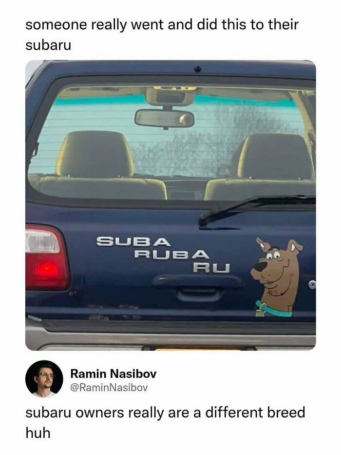 WholesomeMeme's tweet photo. https://t.co/eqpOSuSDPU