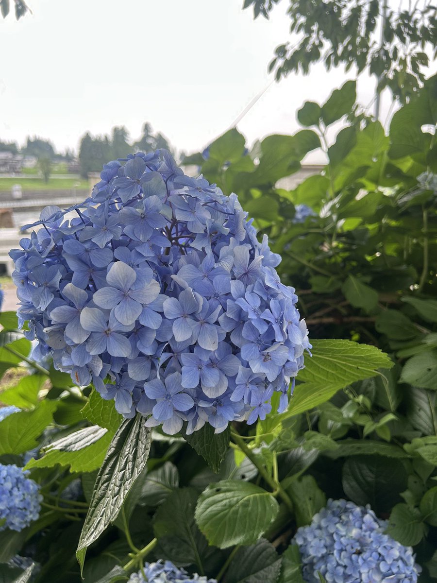 kii1324's tweet photo. https://t.co/1iLgqO9bUl