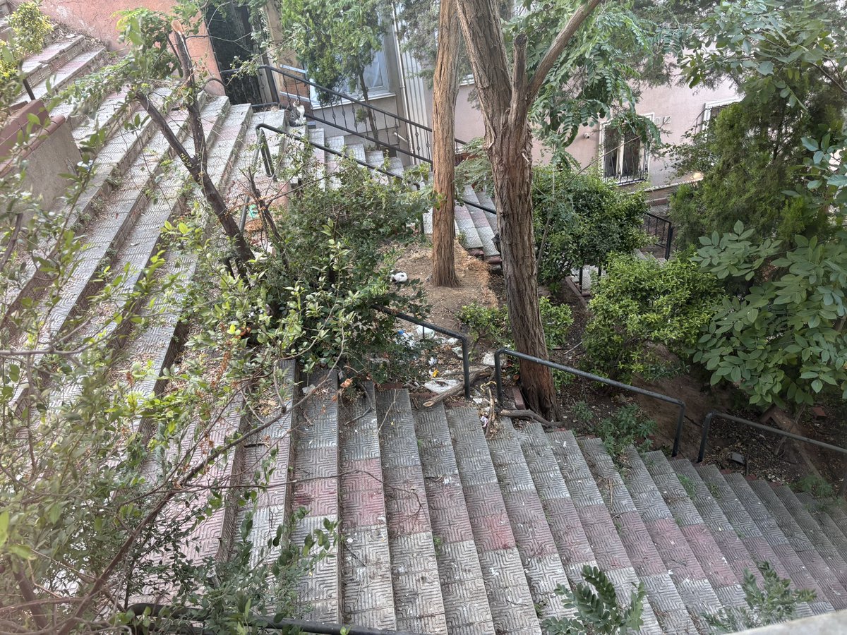 esrasabir's tweet photo. @MaltepeBelTr Temiz maltepe öyle mi? Temizliği kedi yuvalarını koşa koşa gelip kaldırarak arayan belediye şurayı temizlemek konusunda aksiyon almıyor Altıntepeye de bekleriz.. https://t.co/5j7ZrCS1t9