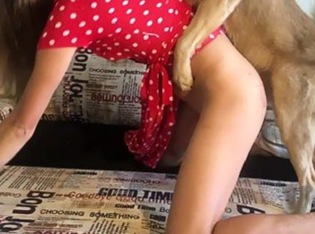 ElijahMaram's tweet photo. https://t.co/L068etBviB

every naughty act just adds to his charm 🐾😅 wanna see what happens next  DM me via telegram https://t.co/L068etBviB

#beastiality #zoophilia #dogcontent #dogmom #doglover #zoocontent #zoomom #zooareverified  #horsemom #translsbeautiful #zoophailia #dogs https://t.co/XpacrsULgL