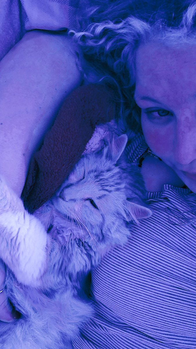 newwmoon_'s tweet photo. Eu te amo muito meu leãozinho laranjo 🥺 https://t.co/GcX7EUZ1XD