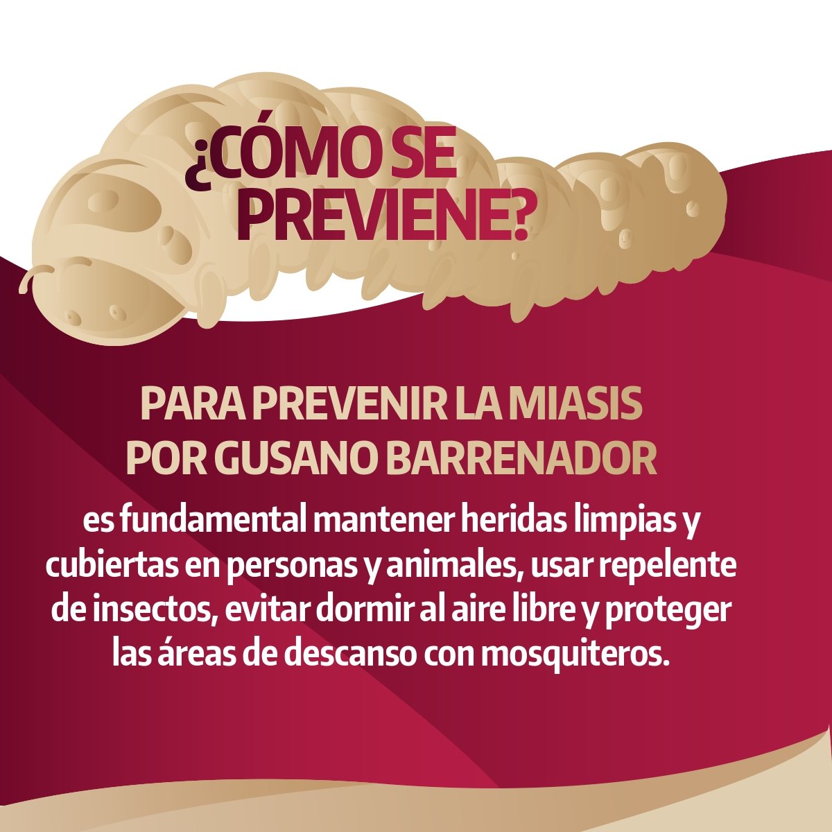 TamaulipasSalud's tweet photo. Recuerda que la atención oportuna es fundamental.
#Miasis #GusanoBarrenador #YoMeCuidoYCuidoALosDemás #TodosPorLaSalud #EnSaludTamaulipasAvanzaUnidoEnLaTransformación https://t.co/MDb3ZJ6kkQ