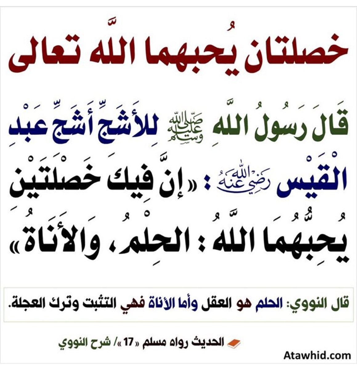 Van_LaTeeF's tweet photo. https://t.co/ve0k8noHk4